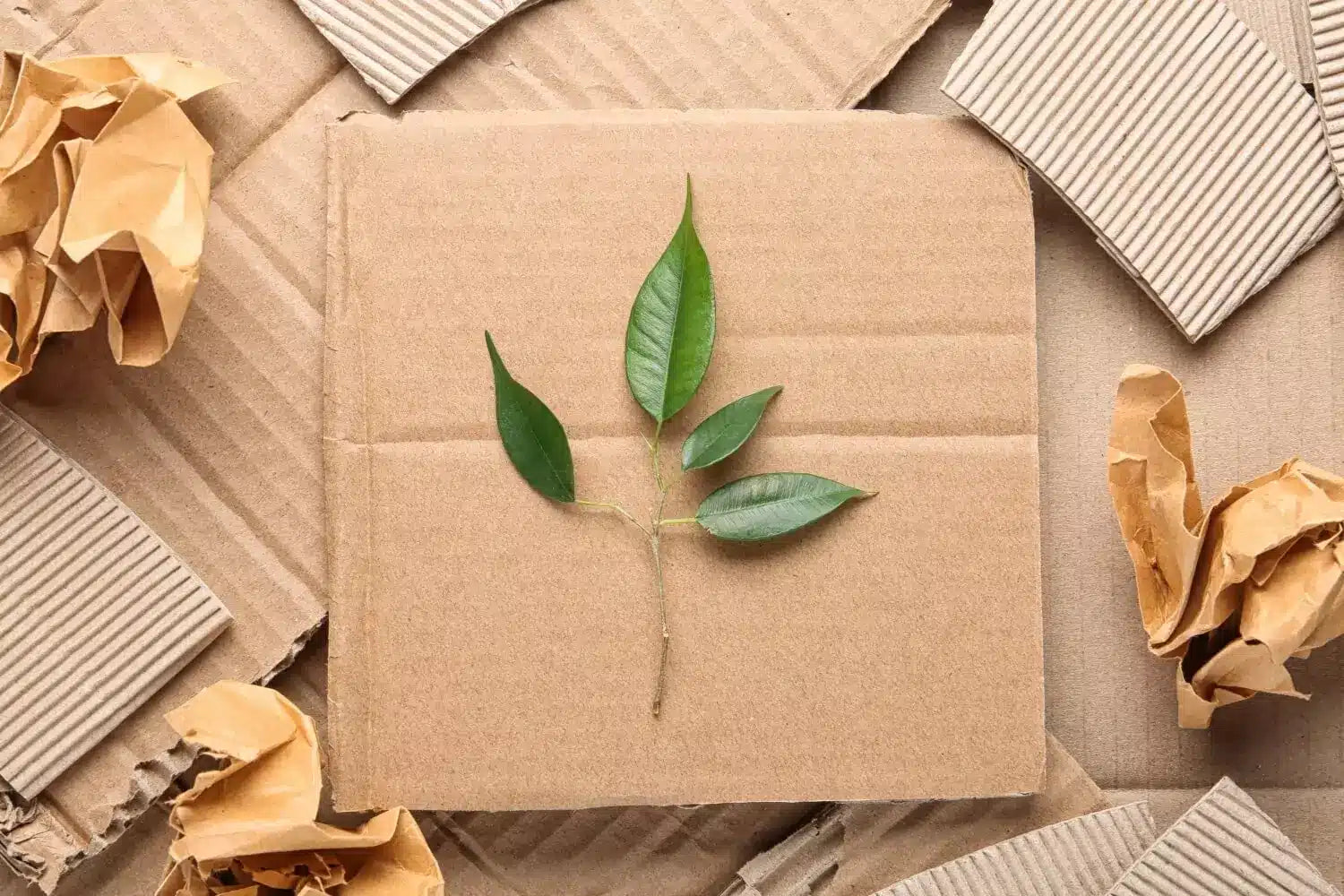 Sustainable Packaging: How Companies are Reducing Plastic Waste
